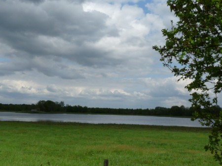 beleven