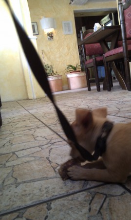 rundvleesstickkebabspezial :-)