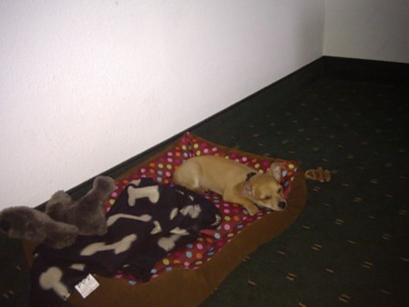 2de nacht was meer relaxed :-)