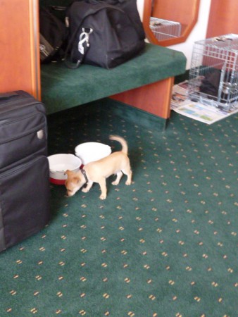 mijn bakjes staan er al