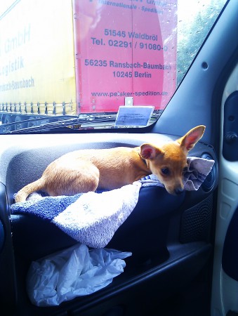 in de file lekker even voorin.....